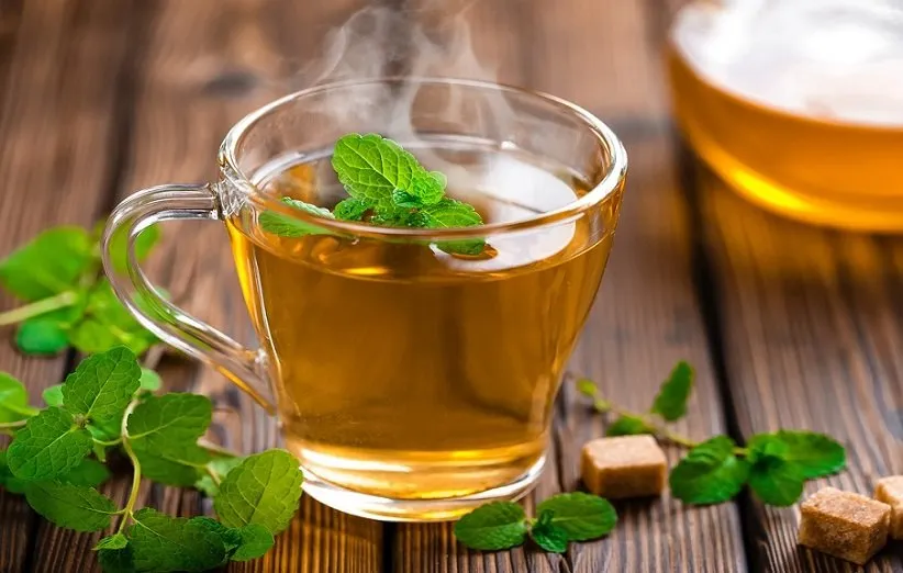 چای نعنا فلفلی
