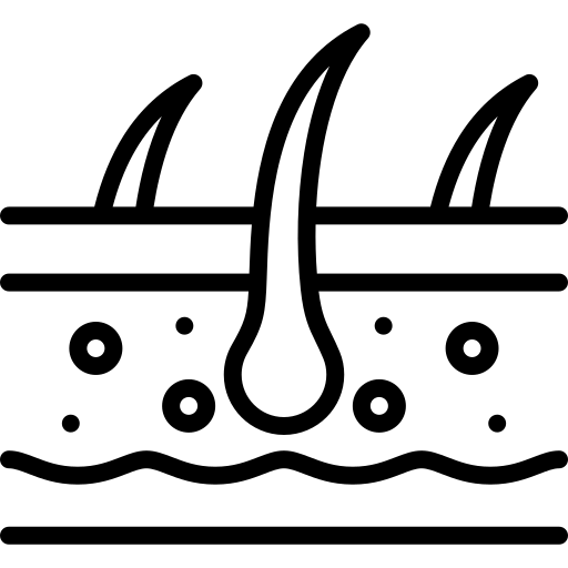 آیکون پوست و مو