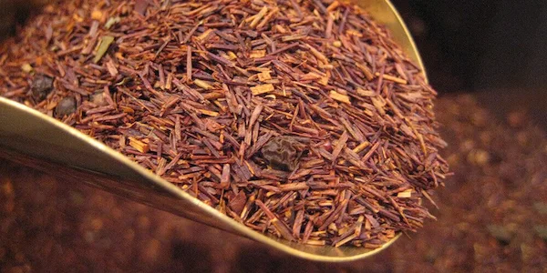 رویبوس
