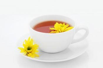 گل داودی