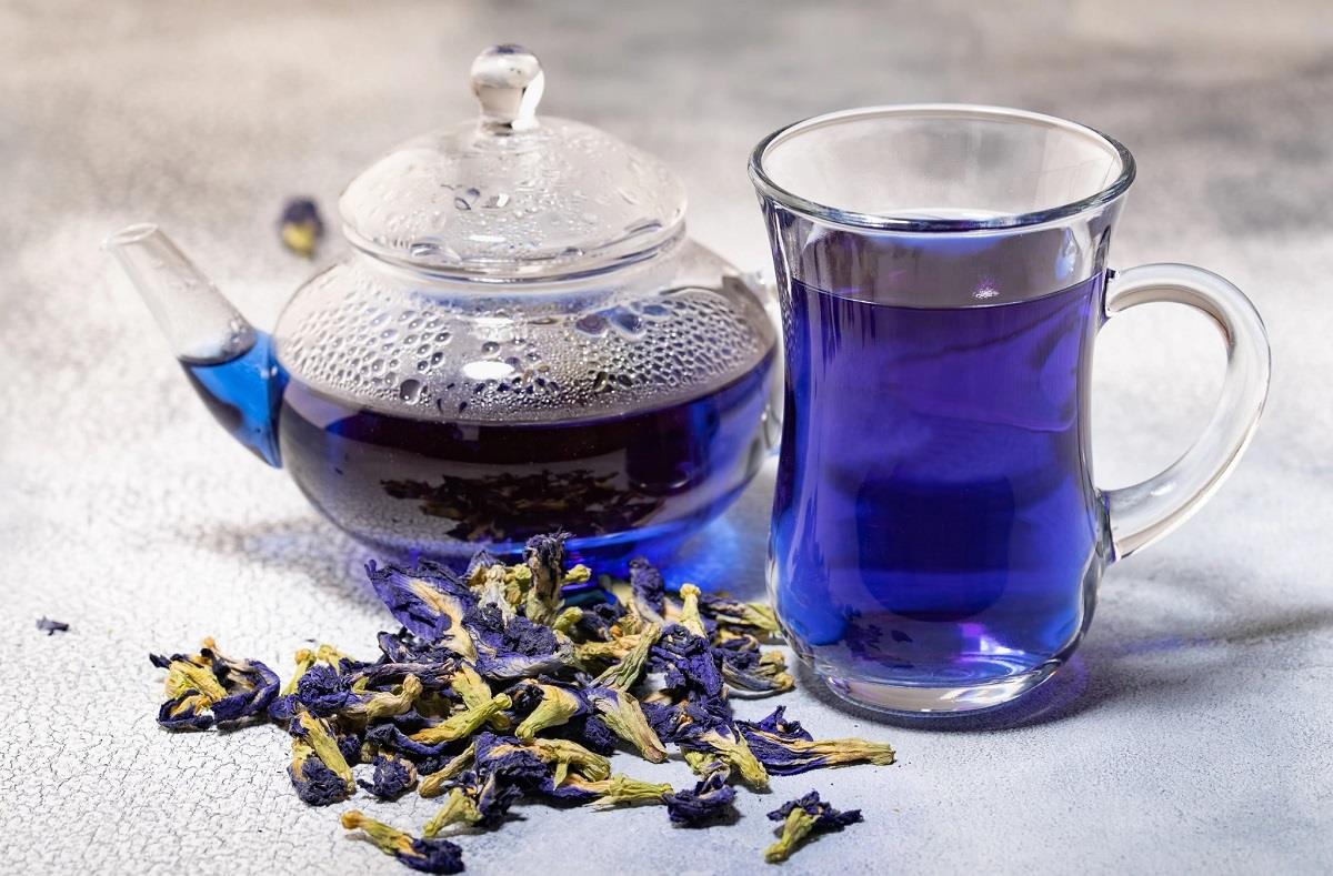 چای گل نخود پروانه ای
