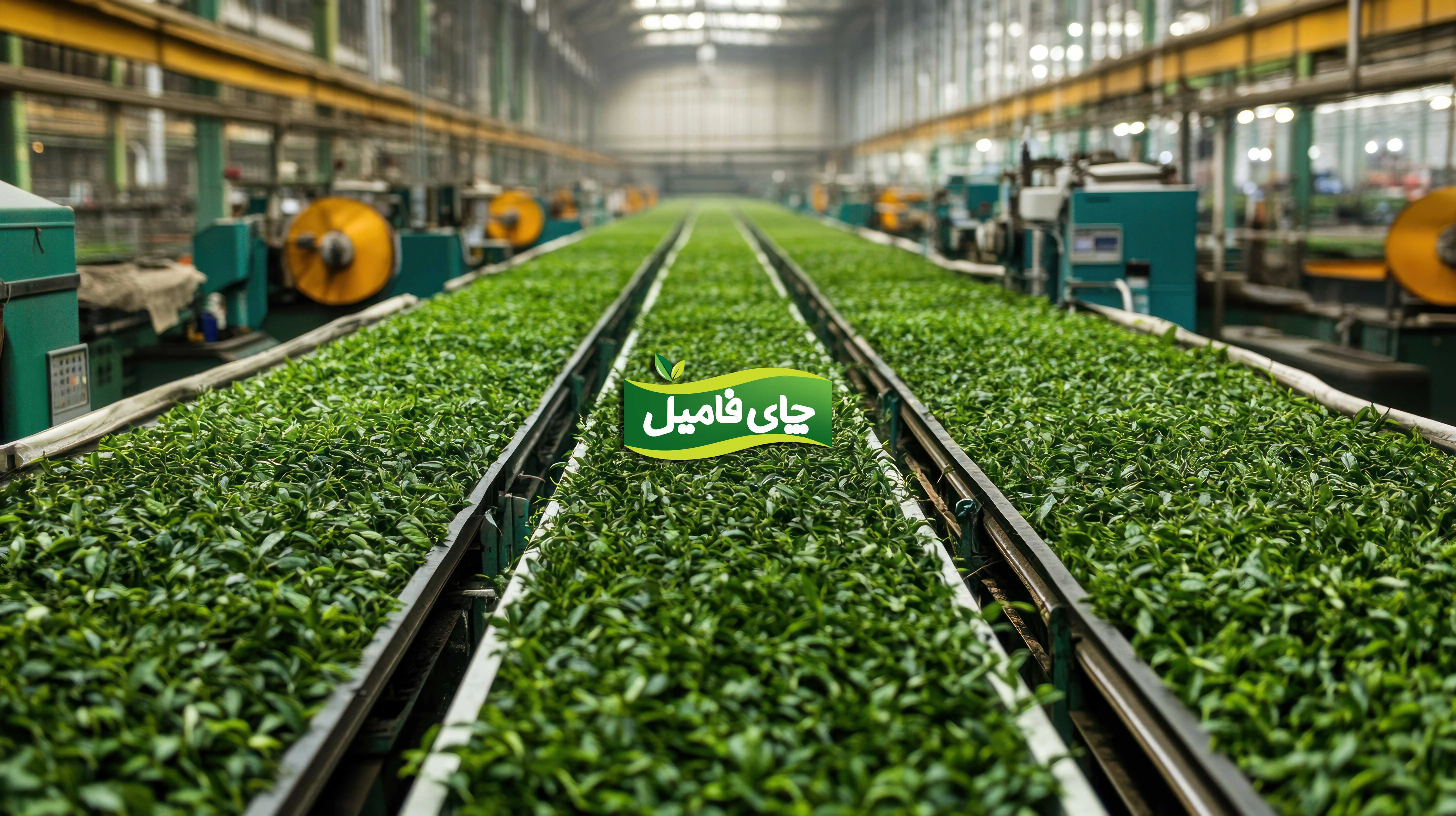 تصویر کاتالوگ و هدر اختصاصی برند چای فامیل