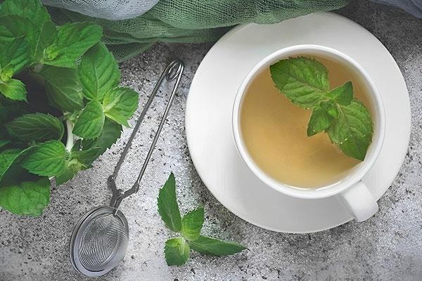چای نعنا فلفلی