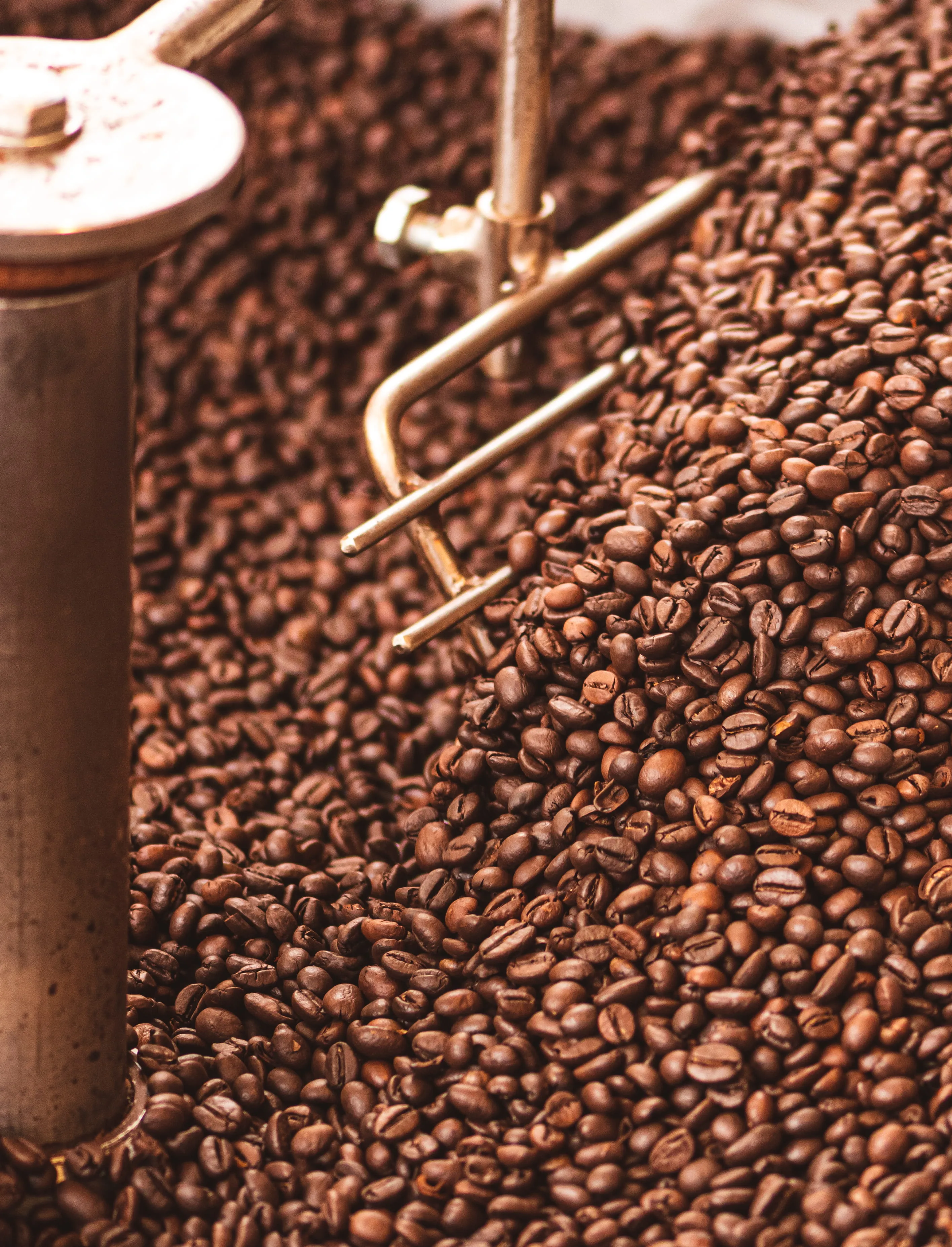 قهوه رست‌شده — Roasted Coffee