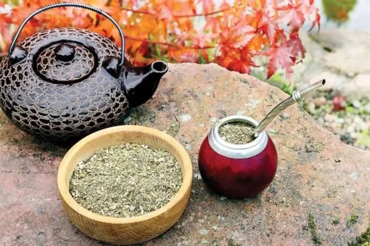 چای ماته
