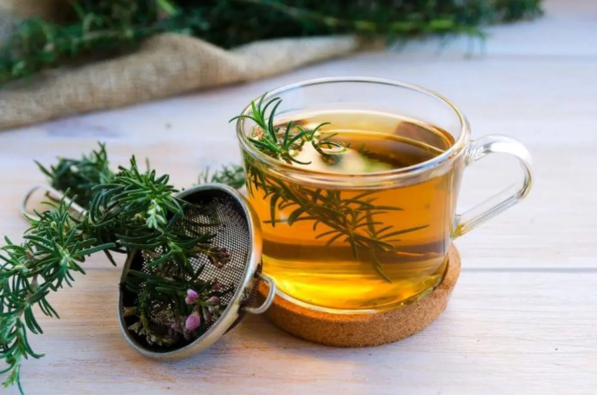 چای رزماری