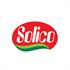 شرکت سولیکو
