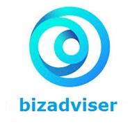 مشاورین کسب و کار