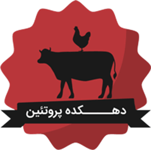 دهکده پروتئین