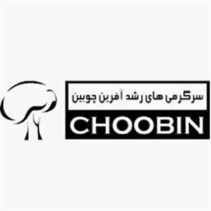 سرگرمی‌های رشد آفرین چوبین