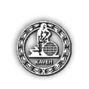 گروه صنعتی کاوه