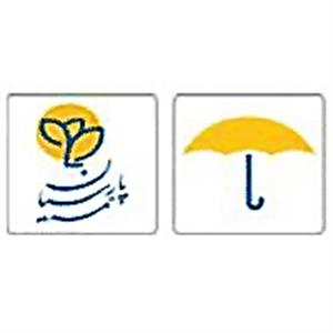 بیمه پارسیان امین