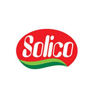 شرکت سولیکو