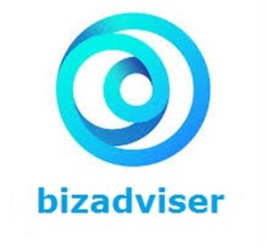 مشاورین کسب و کار