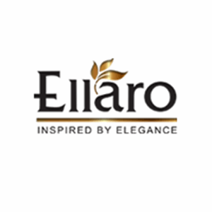 شرکت آرایشی بهداشتی الارو