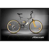 دوچرخه کوهستان