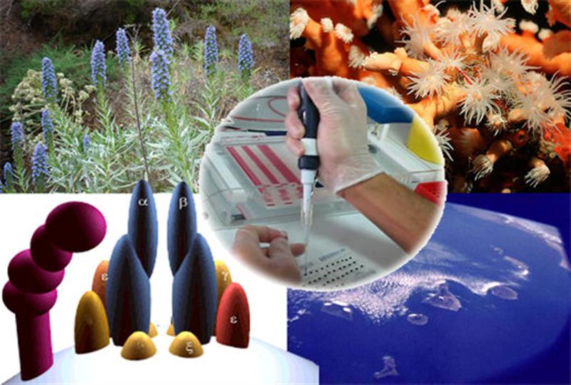 اجرای 80 طرح تحقیقاتی مبتنی بر نانو فناوری در حوزه کشاورزی
