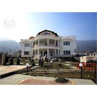 برترین ویلا جنگلی