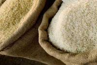 واردات برنج