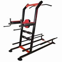 پارالل بارفیکس با شنا سوئدی