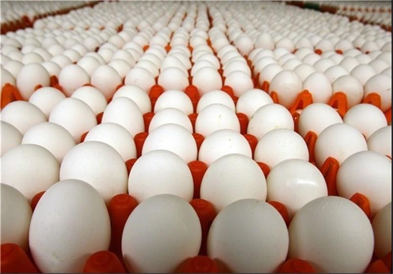افزایش قیمت تخم‎مرغ در برخی مناطق تا ۱۵ هزار تومان