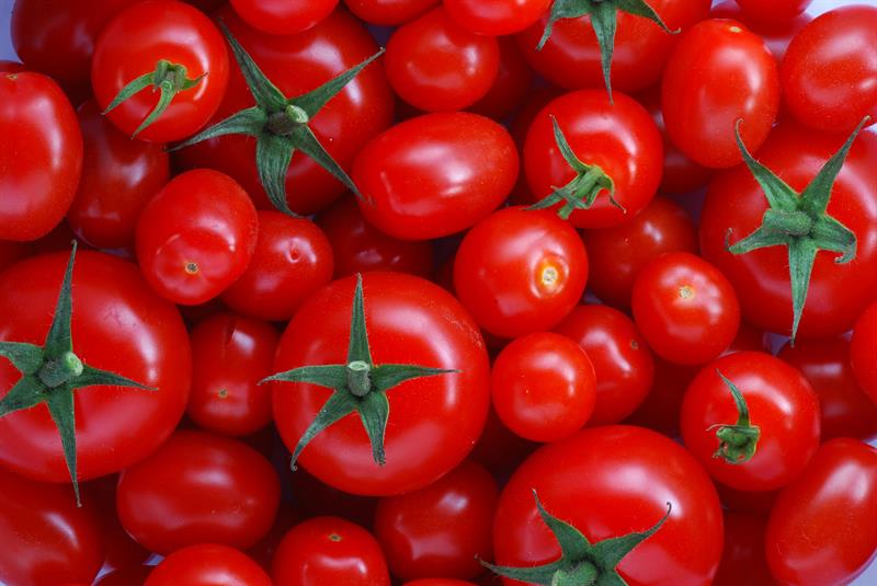 گوجه فرنگی ایران در بازار قطر کیلویی ۵ هزار تومان