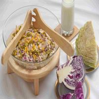 سالاد اندونزی