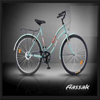 دوچرخه شهری