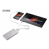 منبع تغذیه قابل حمل USB سونی مدل  CP-F10