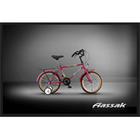 دوچرخه بچگانه سندباد