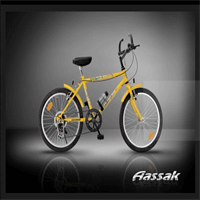 دوچرخه بچگانه اترک