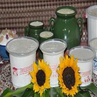 ماست کم چرب