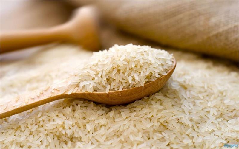 زیان ۳۰۰ میلیون دلاری کشور از ایجاد محدویت زمانی در واردات برنج هندی