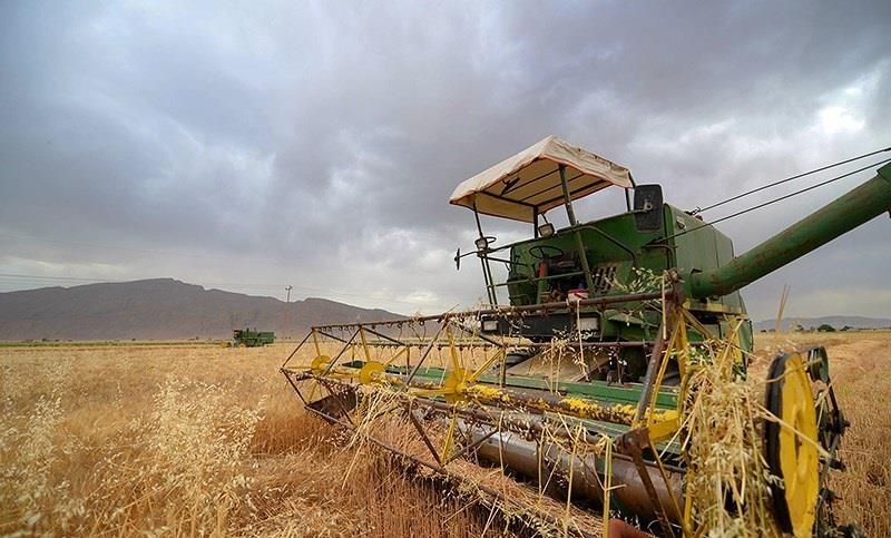 ۹۷ درصد گندم امسال مکانیزه برداشت شد