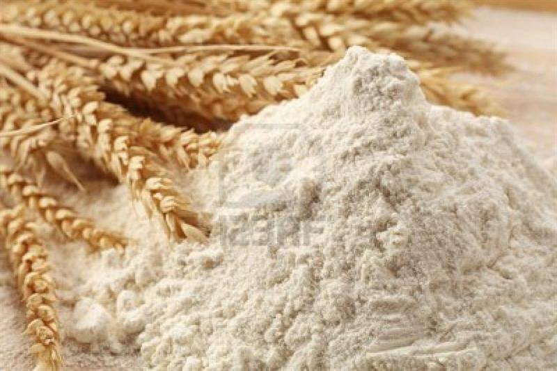 میلیون تن گندم مازاد باید از طریق بورس کالا صادر شود