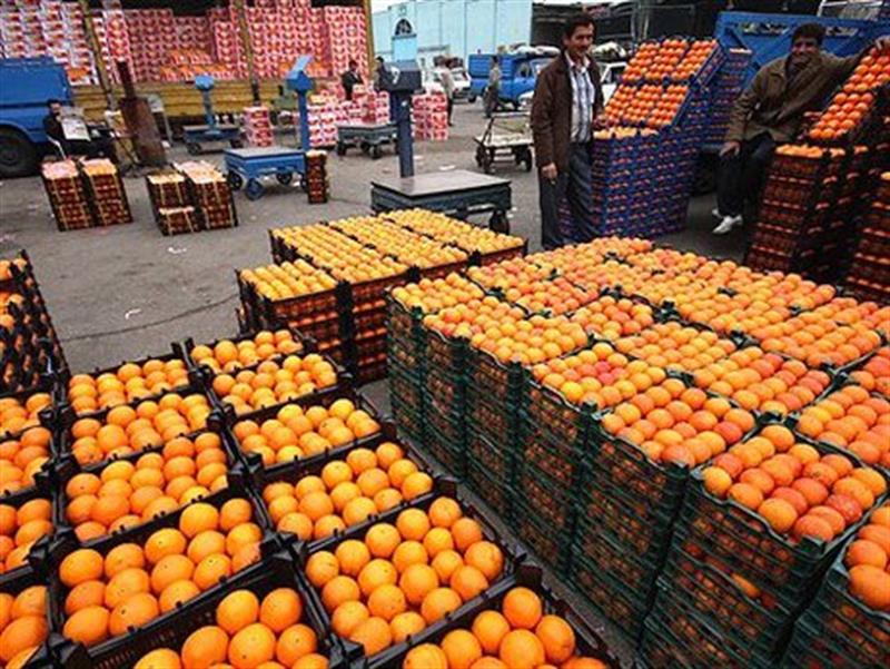 پرتقال صادراتی ۷ برابر ارزان‌تر از بازار داخلی!