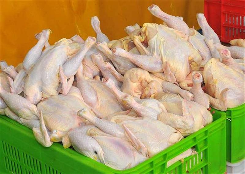 افزایش ۵۰۰ هزار تنی تولید گوشت مرغ در سال جاری