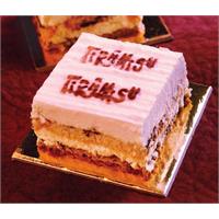 ترامیسو تی اس