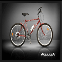 ﻿   دوچرخه کوهستان