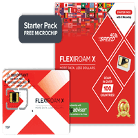 پکیج تراشه Flexiroam