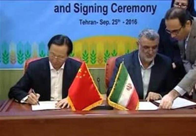 ایران و چین سند همکاری در بخش شیلات امضا کردند
