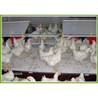 تله تخمگذاری