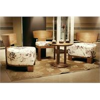 سرویس نشیمن آیشین صبا