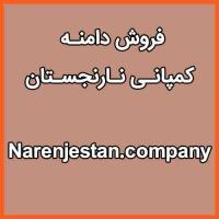 Narenjestan.company | شرکت نارنجستان ، فروش دامنه کمپانی نارنجستان