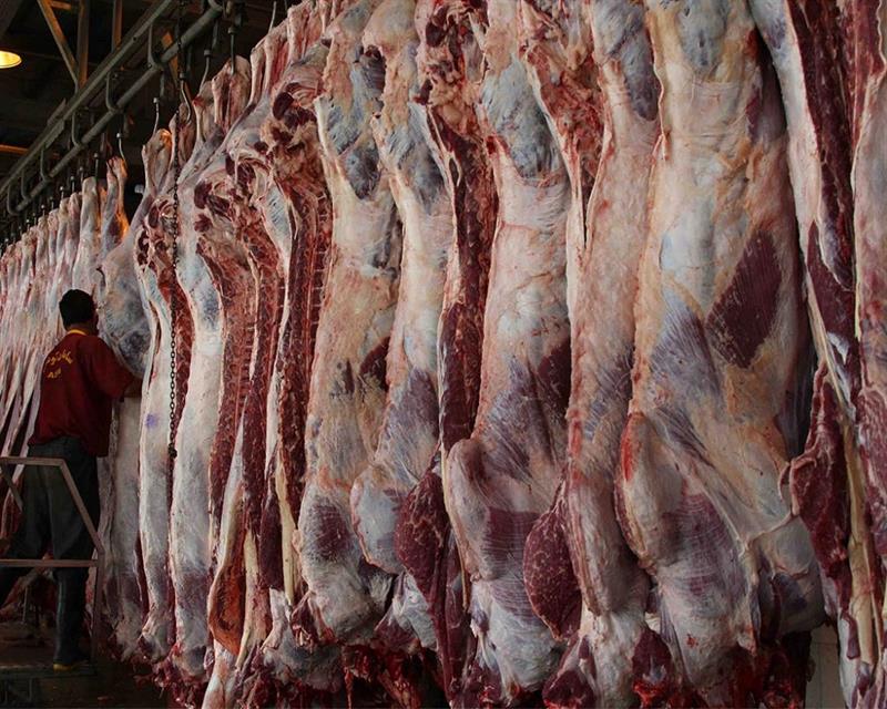 ایران از مغولستان گوشت خرید