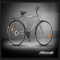 ﻿   دوچرخه شهری دیان