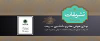 تی رینک