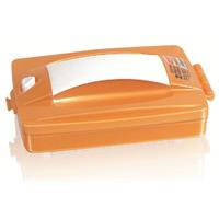 نپتون دوقلو